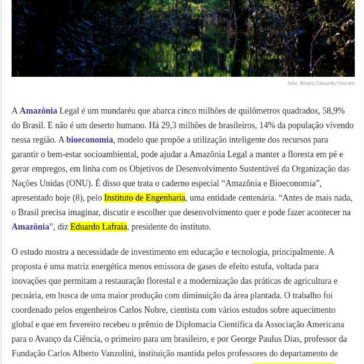 Quem aposta em uma bioeconomia para a Amazônia Brasileira – Brazil Amazônia Agora