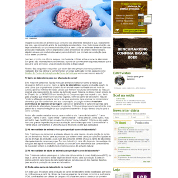 Dez perguntas sobre carne de laboratório para você saber mais sobre adoçantes – Scot Consultoria