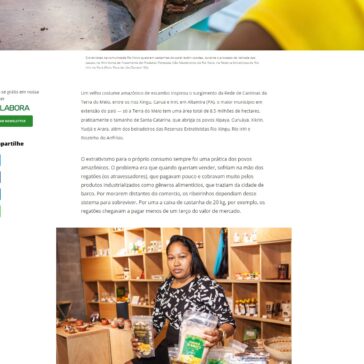 Povos do Xingu produzem na floresta sem desmatar – Projeto Colabora