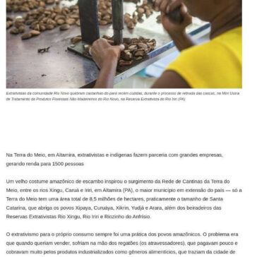 Povos do Xingu produzem na floresta sem desmatar – Correio de Minas