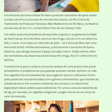 Povos do Xingu produzem na floresta sem desmatar  – Fernando Guida