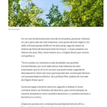 Mais empresas investem na `floresta em pé` – Um só Planeta