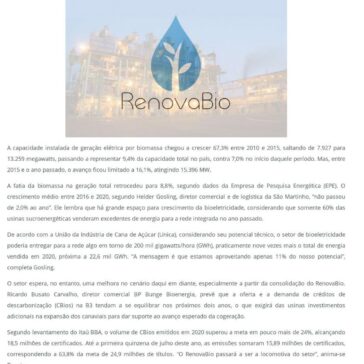 RENOVABIO impulsiona a cogeração – Portal do Agronegócio