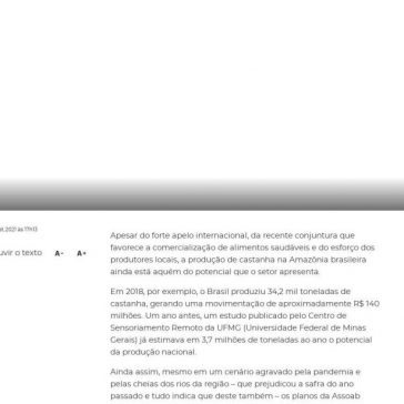 Castanha guarda enorme potencial de crescimento – Folha de S. Paulo (Online)