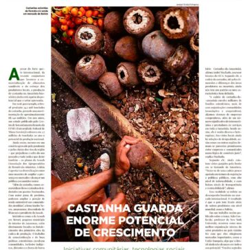 Castanha guarda enorme potencial de crescimento – Folha de S.Paulo