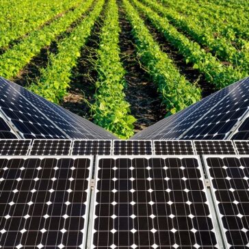 Como a energia solar pode auxiliar o agronegócio
