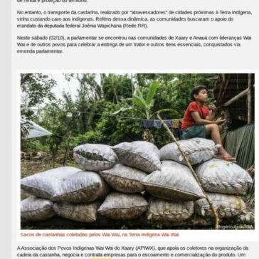 Em Roraima, indígenas Wai Wai conquistam mais autonomia para escoar castanhas – ISA