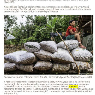 Em Roraima, indígenas Wai Wai conquistam mais autonomia para escoar castanhas – Amazônia (On-line)