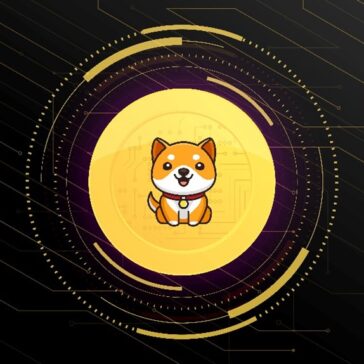 NovaDAX lista BabyDoge: a queridinha dos fãs de criptomoedas-meme