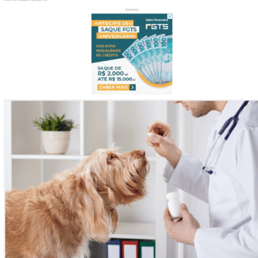 5 vantagens em optar por medicamentos veterinários manipulados – Rio Preto News