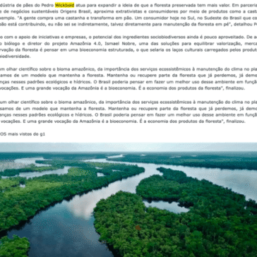 Entenda como investir em cadeias de produtos da sociobiodiversidade pode conservar a Amazônia