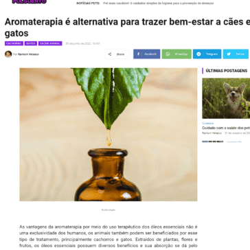 Aromaterapia é alternativa para trazer bem-estar a cães e gatos – Meu Pulguento