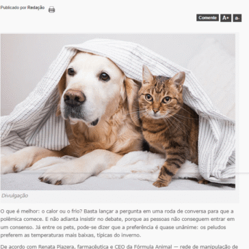 Pet mais saudável: dicas de cuidados durante o clima frio – Pão de Queijo Notícias PQN