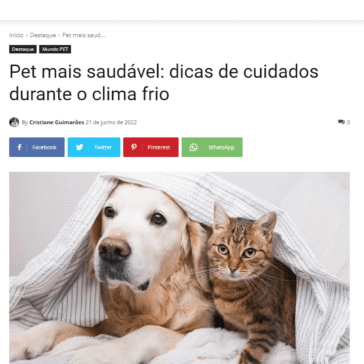 Pet mais saudável: dicas de cuidados durante o clima frio – Não Perde Não