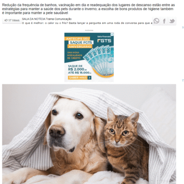 Pet mais saudável: dicas de cuidados durante o clima frio – Rio Preto News