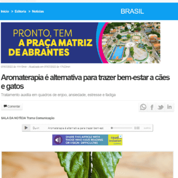 Aromaterapia é alternativa para trazer bem-estar a cães e gatos – Portal Abc Notícias News