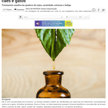 Aromaterapia é alternativa para trazer bem-estar a cães e gatos – Jornal Itaquera