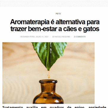 Aromaterapia é alternativa para trazer bem-estar a cães e gatos – Nica Por Aí