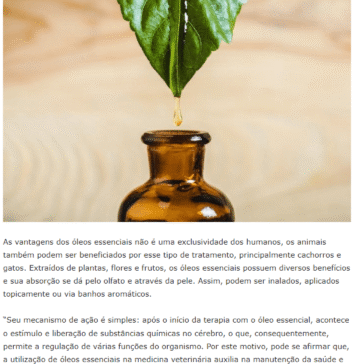 Aromaterapia é alternativa para trazer bem-estar a cães e gatos – Diário de Curitiba