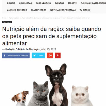 Nutrição além da ração: saiba quando os pets precisam de suplementação alimentar – Diário de Maringá