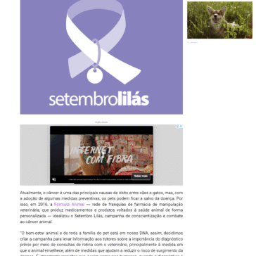 Setembro Lilás: campanha conscientiza sobre o combate e a prevenção de câncer em animais – Meu Pulgento