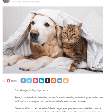 Pet mais saudável: dicas de cuidados durante o clima frio – Revista ZN