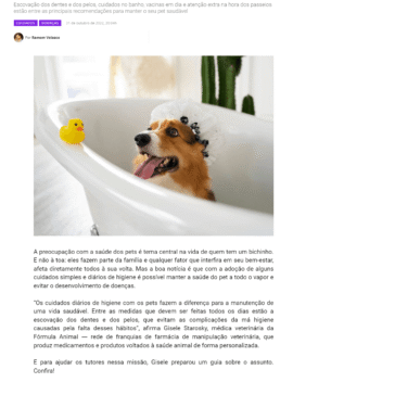 Pet mais saudável: 8 cuidados simples de higiene para a prevenção de doenças – Meu Pulgento