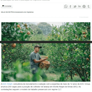 EDC Smart anuncia 200 vagas para a posição de agricultor de laranja em Monte Alegre de Minas – JBN Bahia