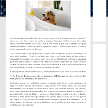 Pet mais saudável: 8 cuidados simples de higiene para a prevenção de doenças – Atitudes no Esporte