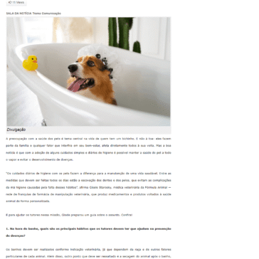 Pet mais saudável: 8 cuidados simples de higiene para a prevenção de doenças – Rio Preto News