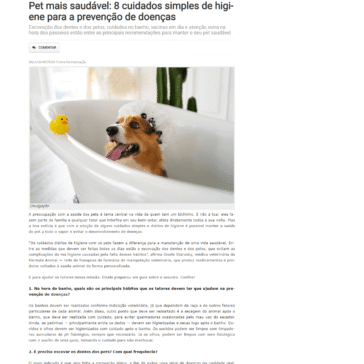Pet mais saudável: 8 cuidados simples de higiene para a prevenção de doenças – Sala da Notícia