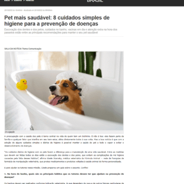 Pet mais saudável: 8 cuidados simples de higiene para a prevenção de doenças – São Carlos Dia e Noite