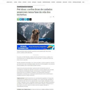 Pet idoso: confira dicas de cuidados essenciais nessa fase da vida dos bichinhos – Grupo Sul News
