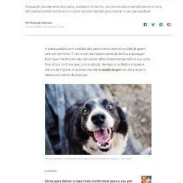 Pet mais saudável: 5 cuidados simples de higiene para a prevenção de doenças	– Glamour