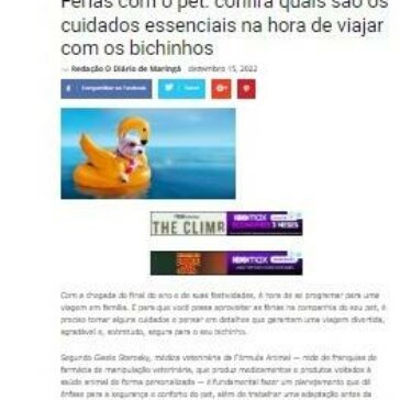 Férias com o pet: confira quais são os cuidados essenciais na hora de viajar com os bichinhos -Diário de Maringá