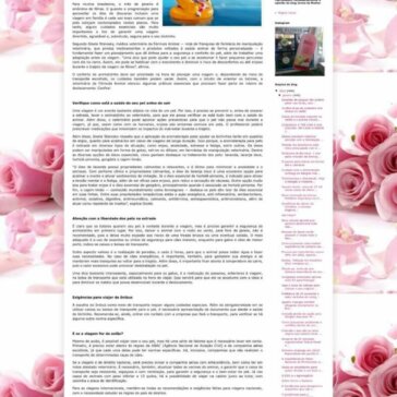 Viagens com pets requerem cuidados especiais para garantir segurança e conforto ao bichinho – Blog Jornal da Mulher