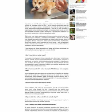 Pet imunizado: entenda a importância da vacinação e os cuidados que envolvem este processo -Meu Pulguento