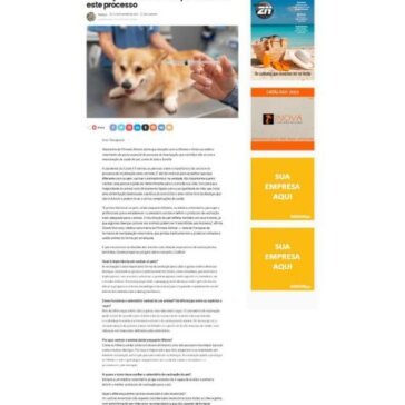 Pet imunizado: entenda a importância da vacinação e os cuidados que envolvem este processo – Revista ZN – Universo ZN