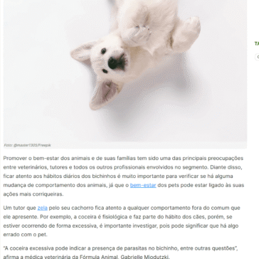 Saiba quais são as causas e como tratar a coceira nos pets – Conexão Safra