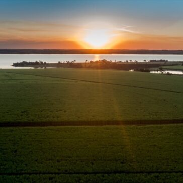Agrovem 2023: BP Bunge Bioenergia destaca seu programa de relacionamento com produtores de cana locais no evento