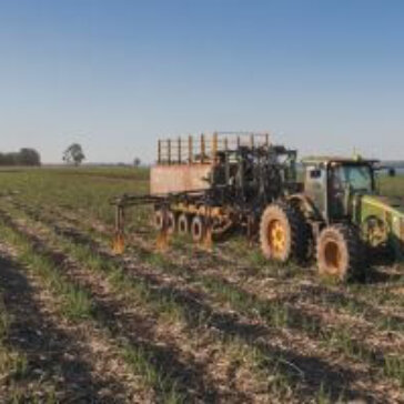 Iniciativas de sucesso em agricultura regenerativa são destaques da BP Bunge no Canabio 2023