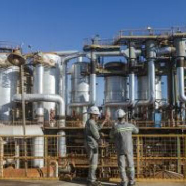BP Bunge se consolida no setor bioenergético com crescimento de 30% em 3 anos de operação