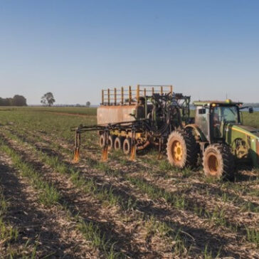 Dia Mundial do Meio Ambiente: agricultura regenerativa favorece saúde do solo, biodiversidade e descarbonização