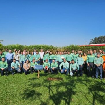BP Bunge doa 3 mil mudas a projeto de formação de bosques em Minas Gerais