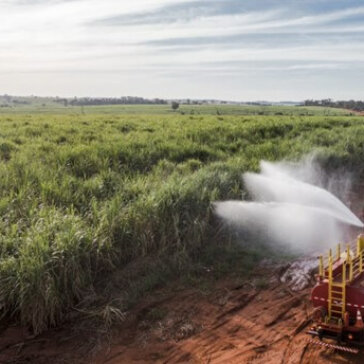 BP Bunge está entre as melhores empresas do setor de Energia do anuário Época Negócios 360º