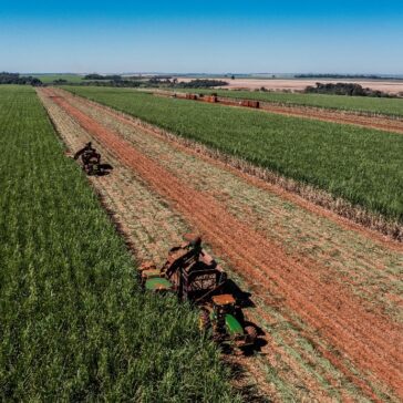BP Bunge obtém Selo Energia Verde pelo quinto ano consecutivo