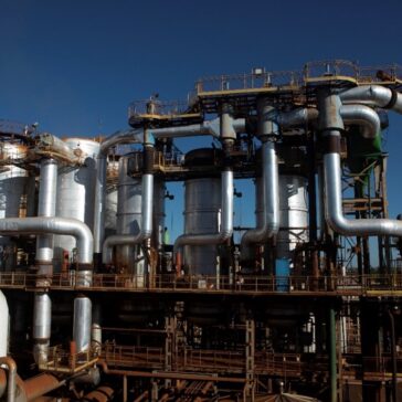 BP Bunge projeta aumento de 60% na venda de biomassa de cana-de-açúcar