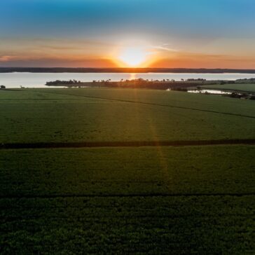 BP Bunge e 1MiO unem forças para gerar oportunidades para jovens de Minas Gerais