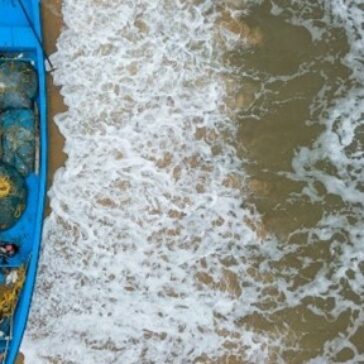 Alares lança campanha de voluntariado corporativo para ajudar na limpeza de praias de Fortaleza/CE