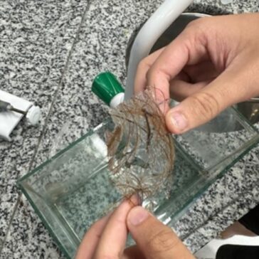 Olho de Prata: evento apresenta projetos inovadores de alunos do ensino médio para as áreas de meio ambiente, tecnologia e social